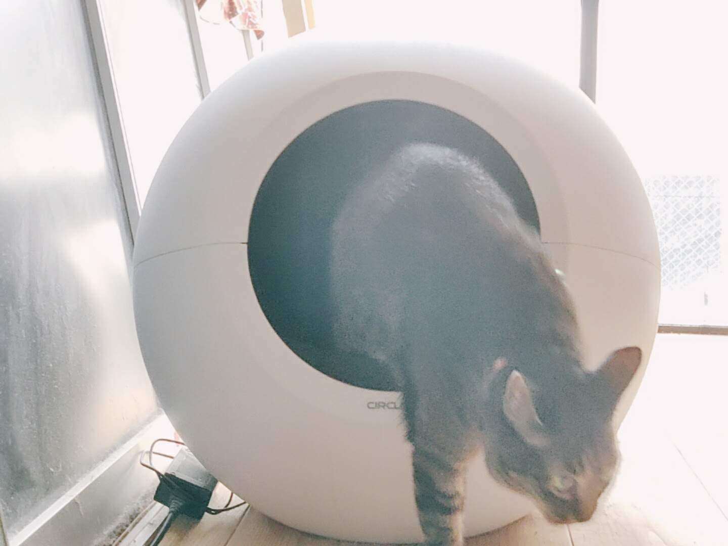サークルゼロ CIRCLE0(サークルゼロ) 猫トイレ 全自動猫トイレ - 東京